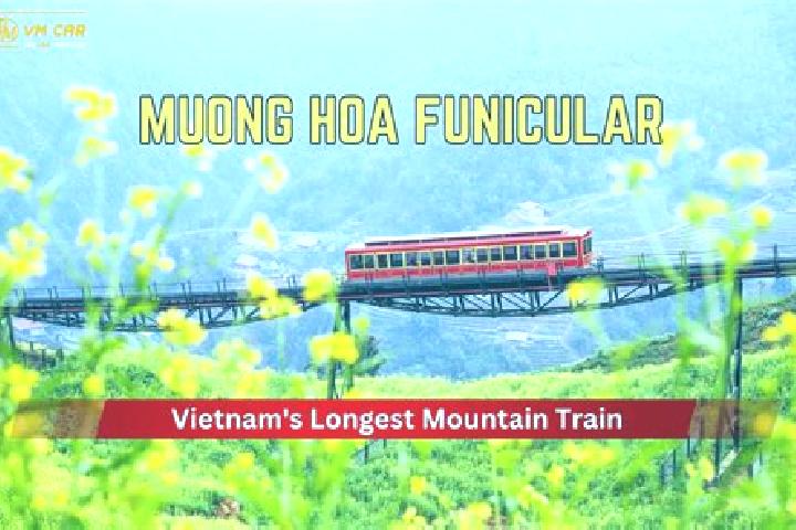 Ella, 22 — Escort in Muong Xen, Vietnam