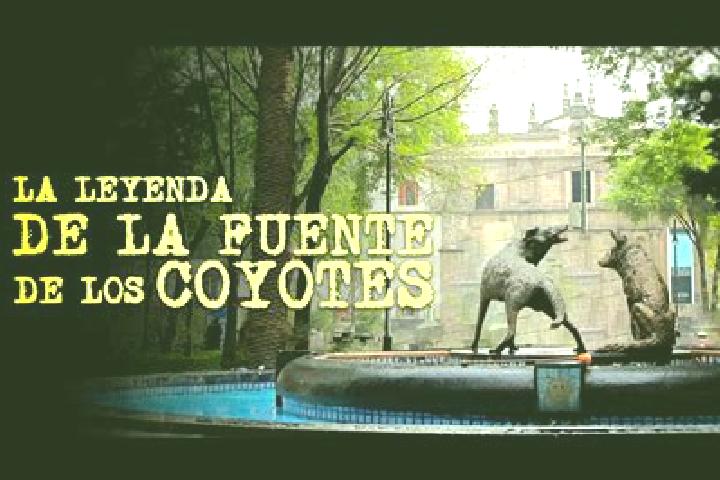 Ella, 22 — Escort in San Antonio del Coyote, Mexico