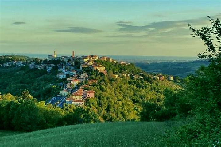 Ella, 22 — Escort in Sogliano al Rubicone, Italy