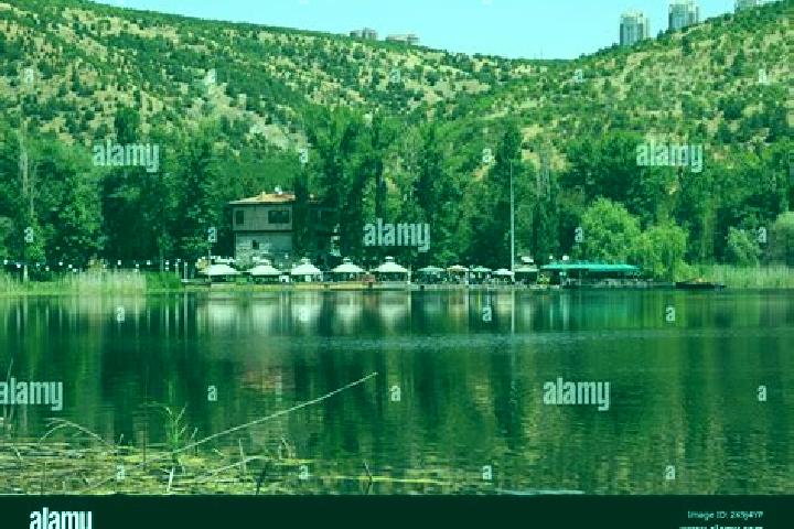 Ella, 23 — Escort in Eymir, Turkey