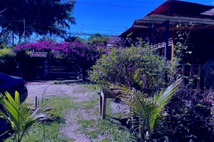 Ella, 23 — Escort in Sabalito, Costa Rica