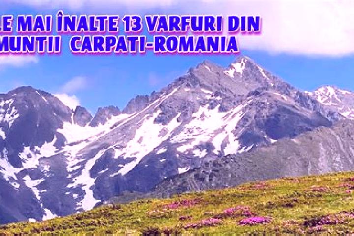 Ella, 23 — Escort in Turluianu, Romania
