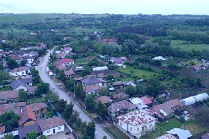 Ella, 23 — Escort in Varvoru de Jos, Romania