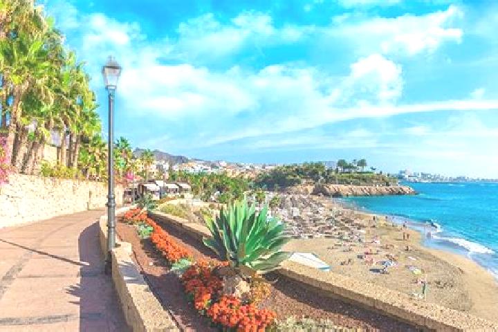 Ella, 24 — Escort in Adeje, Spain