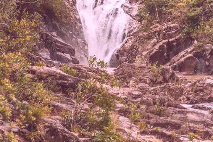 Ella, 24 — Escort in Big Fall, Belize