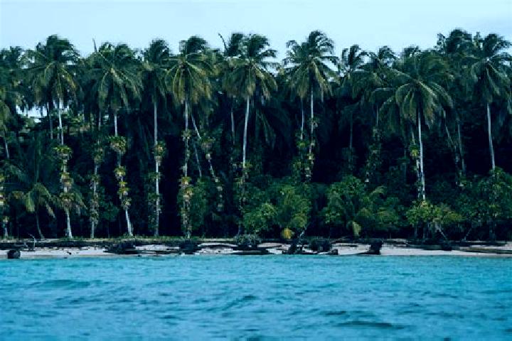 Ella, 24 — Escort in Bocas, Mexico