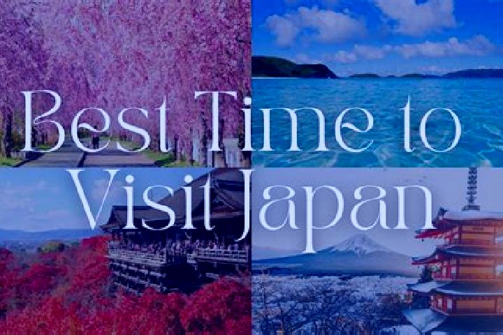 Ella, 24 — Escort in Toma, Japan