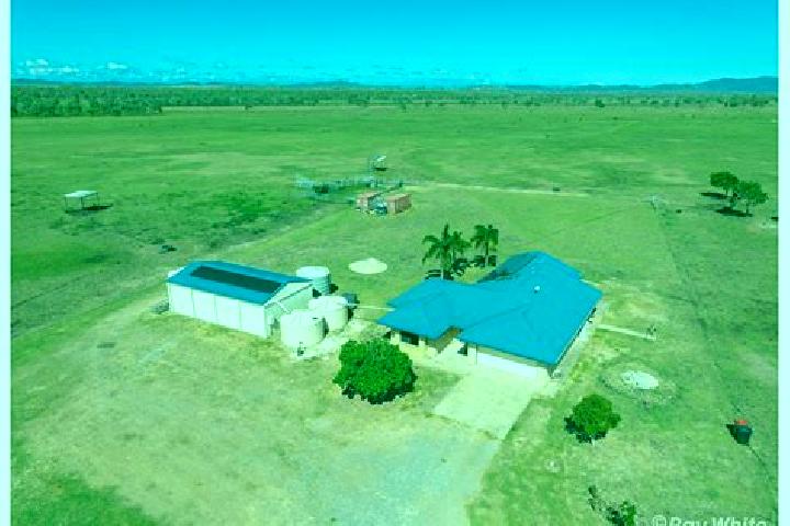 Ella, 25 — Escort in Alton Downs, Australia