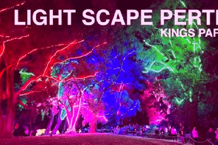 Ella, 25 — Escort in Kings Park, United States