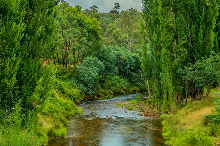 Ella, 25 — Escort in Little River, Australia
