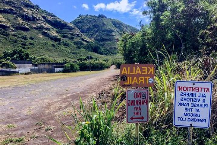 Ella, 25 — Escort in Makua Valley, United States