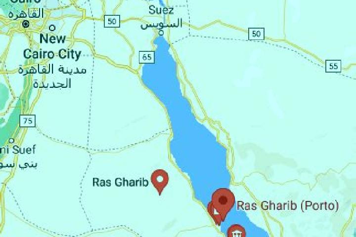 Ella, 25 — Escort in Ras Gharib, Egypt