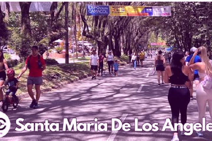 Ella, 25 — Escort in Santa Maria de los Angeles, Mexico