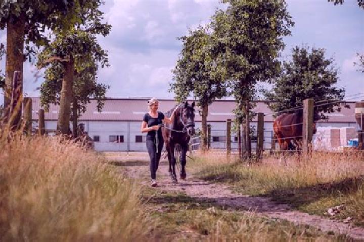 Ella, 25 — Escort in Soestdijk, Netherlands