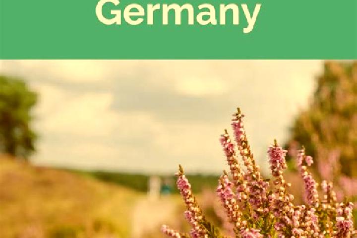 Ella, 25 — Escort in Soltau, Germany