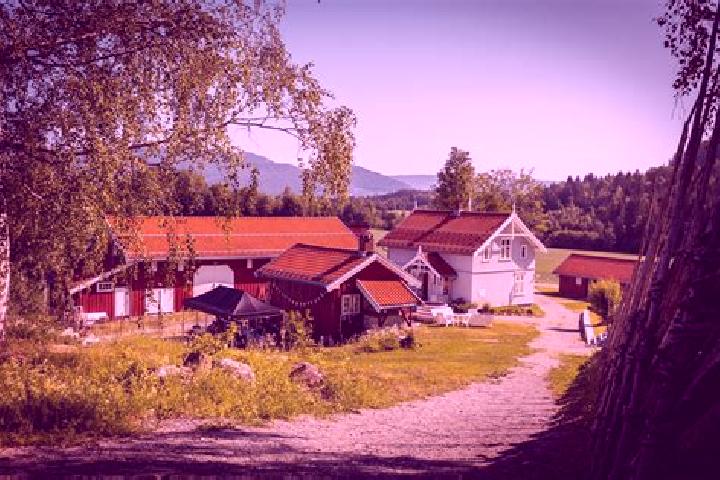 Ella, 26 — Escort in Holmestrand, Norway