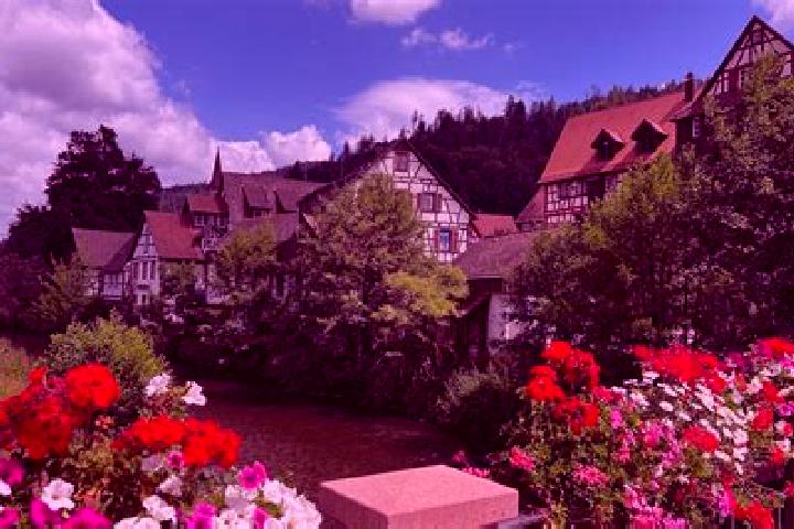 Ella, 26 — Escort in Schiltach, Germany