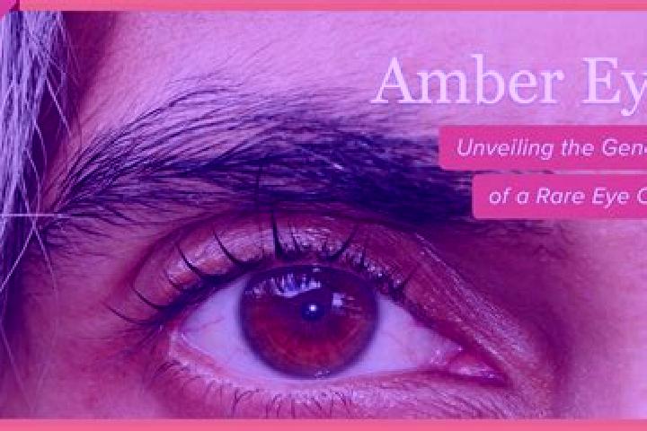Ella, 27, a red amber-eyed latina companion based in Avcili. Offering Domination, Deep French Kissing, Travel Companion, OWO, Dinner Date. Available for inca...