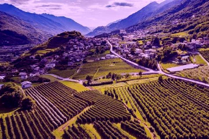 Ella, 27 — Escort in Berbenno di Valtellina, Italy