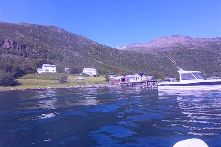 Ella, 27 — Escort in Burfjord, Norway