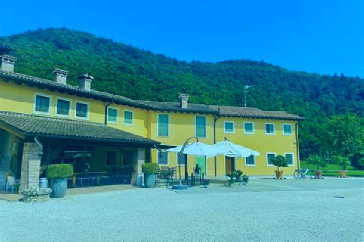 Ella, 27 — Escort in Cavaso del Tomba, Italy