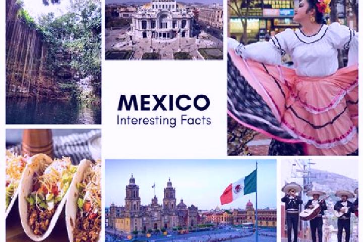 Ella, 27 — Escort in Mactun, Mexico