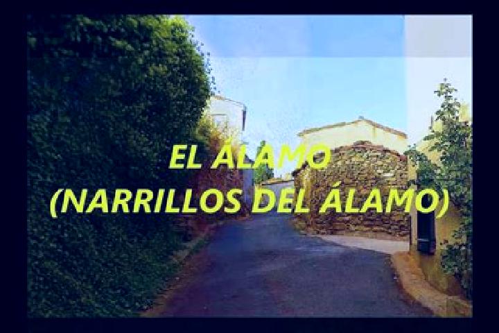Ella, 27 — Escort in Narrillos del Alamo, Spain