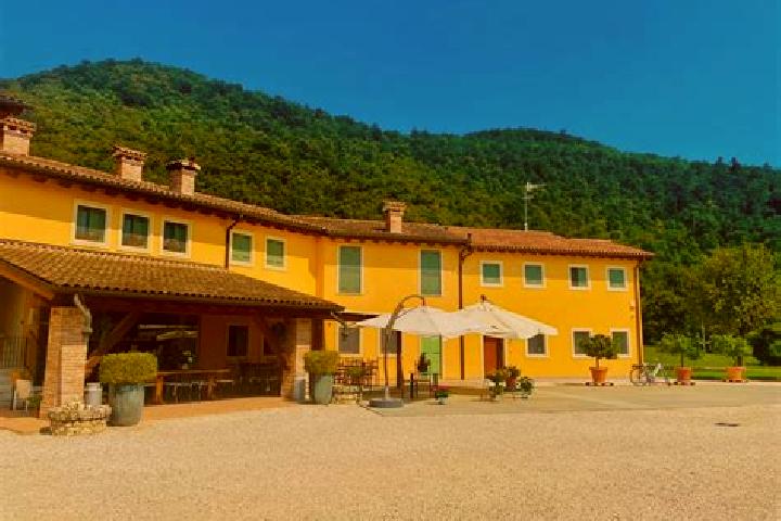 Ella, 27 — Escort in Occhieppo Inferiore, Italy