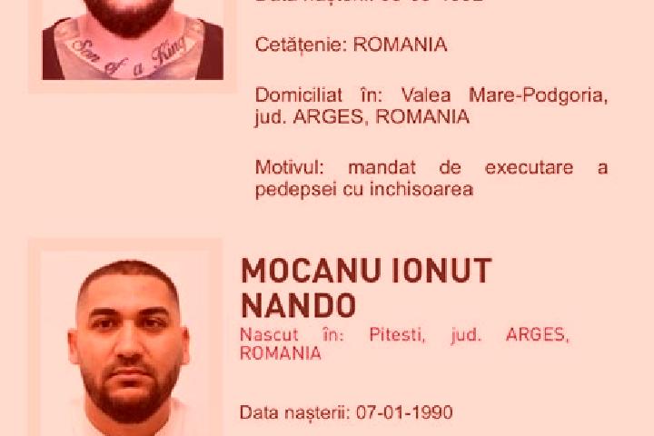 Ella, 28 — Escort in Enculesti, Romania