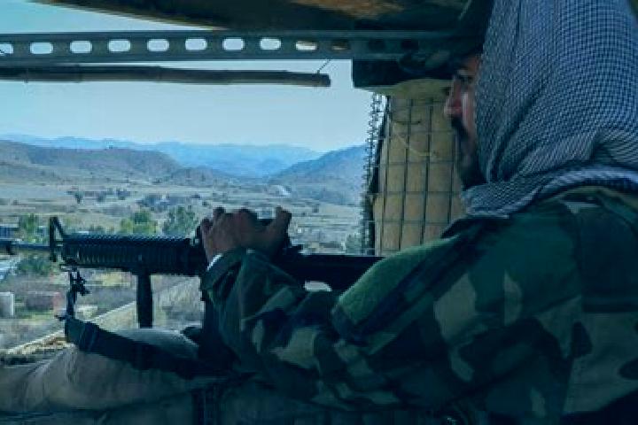 Ella, 29 — Escort in Barg-e Matal, Afghanistan
