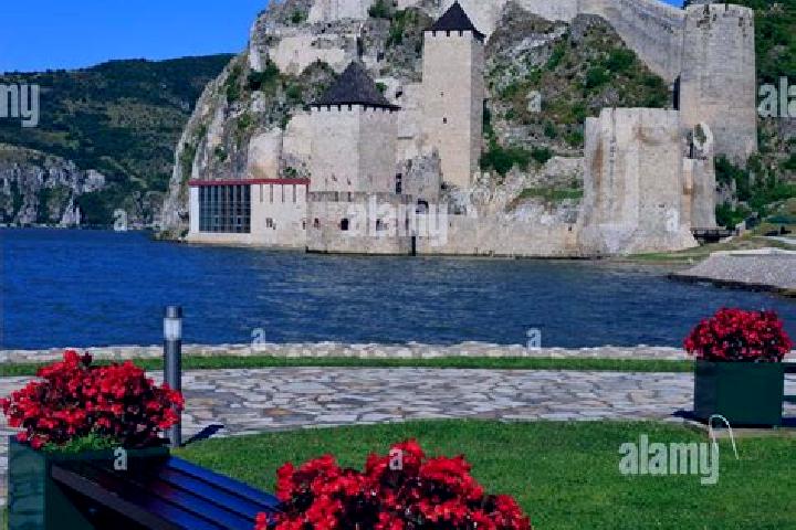 Ella, 29 — Escort in Golubac, Serbia