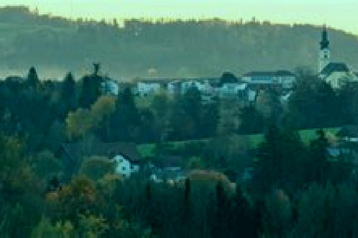 Ella, 29 — Escort in Neukirchen vorm Wald, Germany