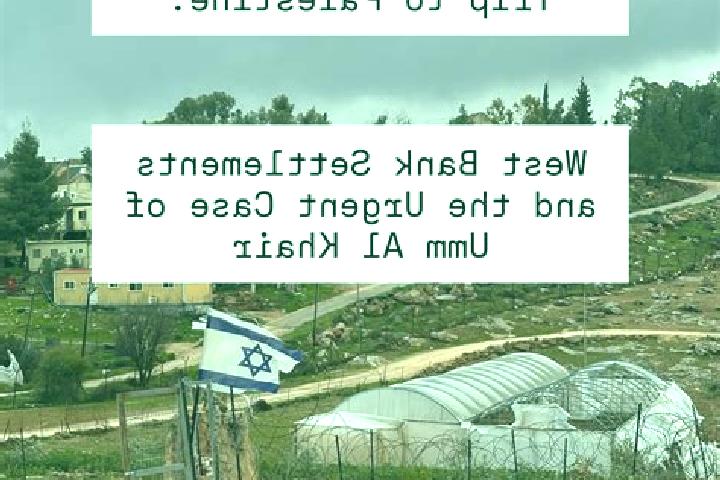 Ella, 29 — Escort in Umm Salmunah, Palestine