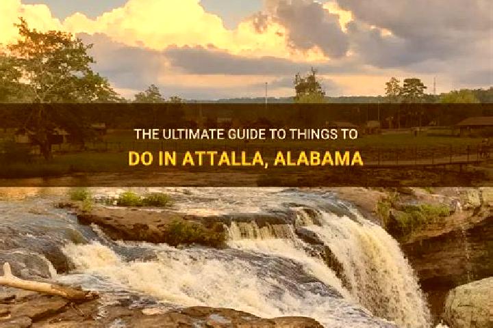 Ella, 30 — Escort in Attalla, United States
