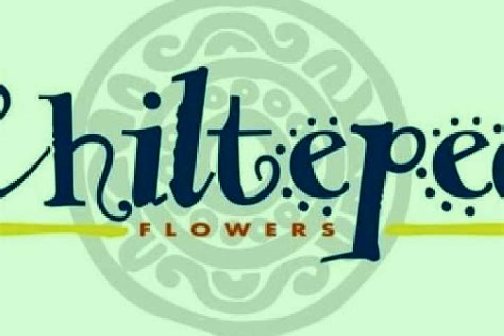 Ella, 30 — Escort in Chiltepec de Hidalgo, Mexico