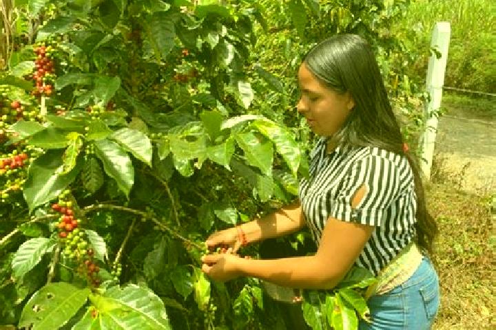 Ella, 30 — Escort in Chitaraque, Colombia