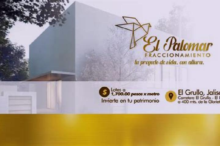 Ella, 30 — Escort in Palomar, Mexico