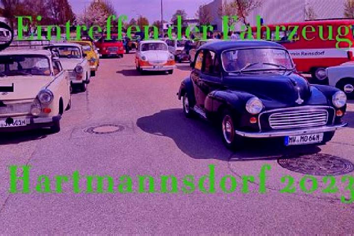 Ella, 31 — Escort in Hartmannsdorf, Germany