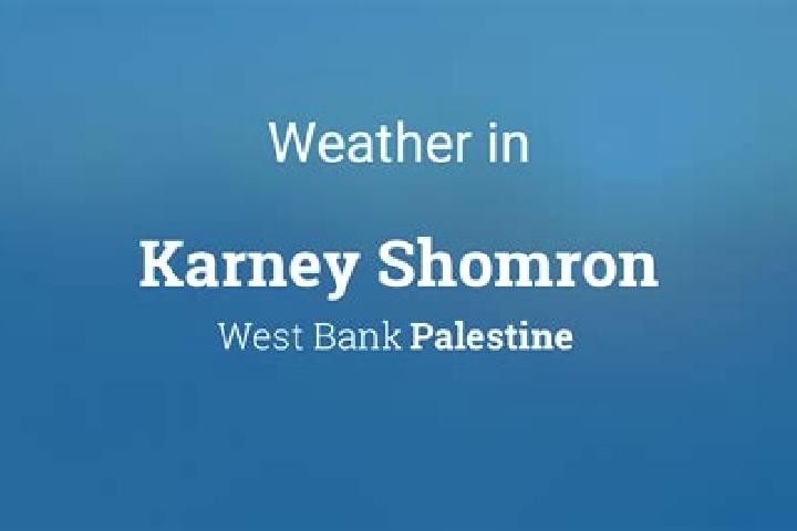 Ella, 31 — Escort in Karney Shomron, Palestine