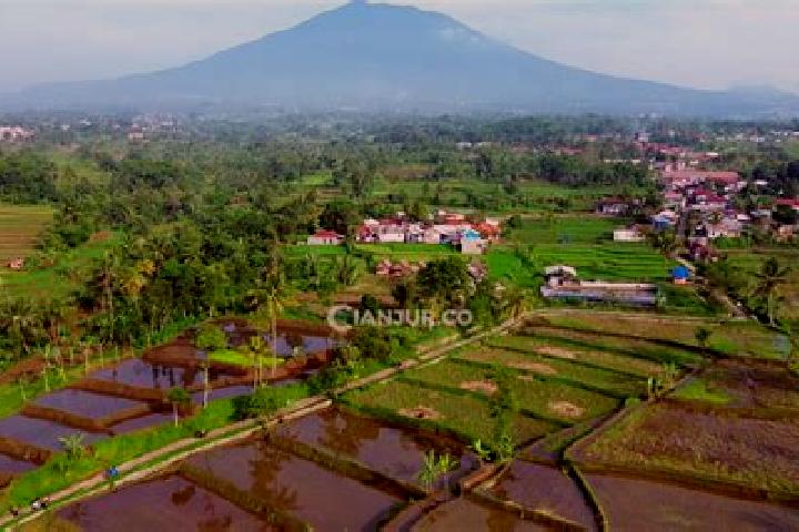 Ella, 31 — Escort in Manis Karangtengah, Indonesia