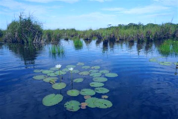 Ella, 31 — Escort in Pantanal, Mexico