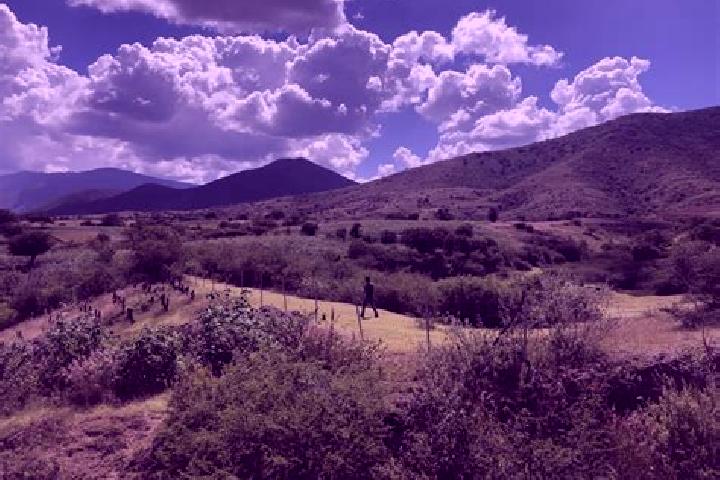 Ella, 32 — Escort in Agua del Espino, Mexico