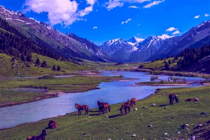 Ella, 32 — Escort in Bakai-Ata, Kyrgyzstan