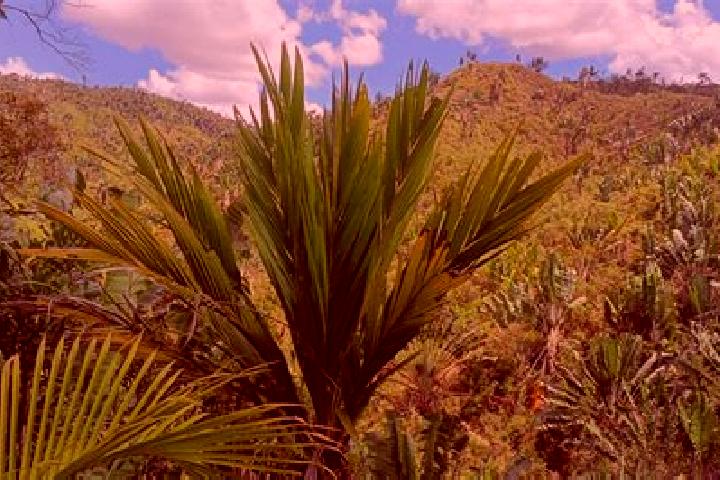 Ella, 32 — Escort in Ifanadiana, Madagascar