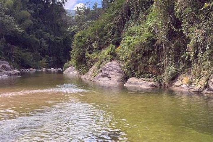 Ella, 32 — Escort in Los Cacaos, Mexico