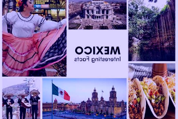 Ella, 33 — Escort in Coacoyunga, Mexico