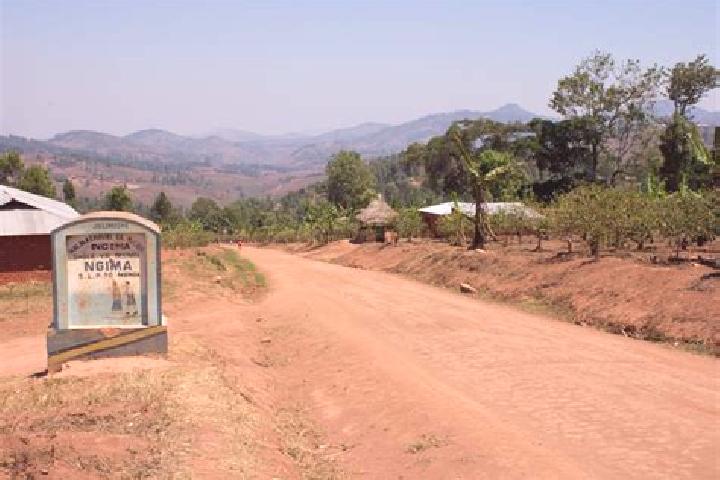 Ella, 33 — Escort in Kigonsera, Tanzania