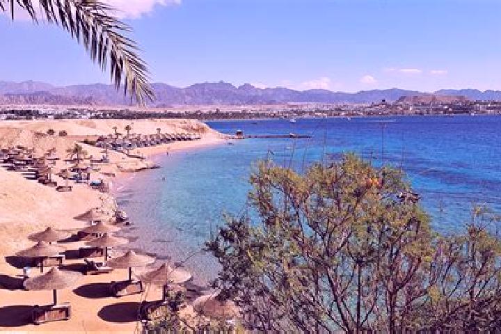 Ella, 33 — Escort in Naama, Algeria