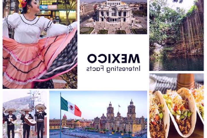Ella, 33 — Escort in Tepoxcuautla, Mexico