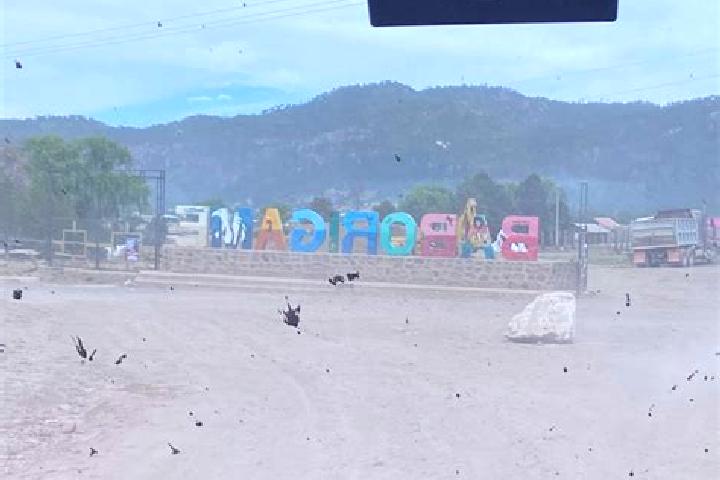 Ella, 34 — Escort in Baborigame, Mexico